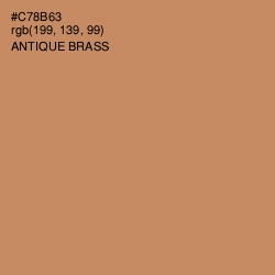 #C78B63 - Antique Brass Color Image